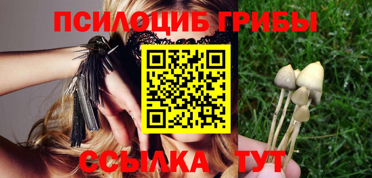 закладки  Псилоцибиновые грибы мухоморы  Вход с VPN  Новозыбков 